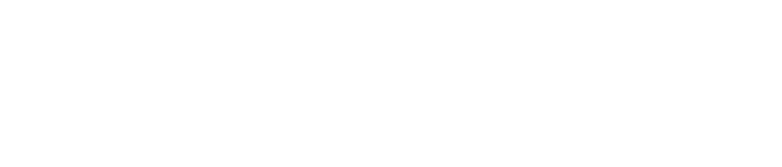 World 100 Logo White