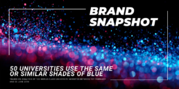 Brand Snapshot Finding 3