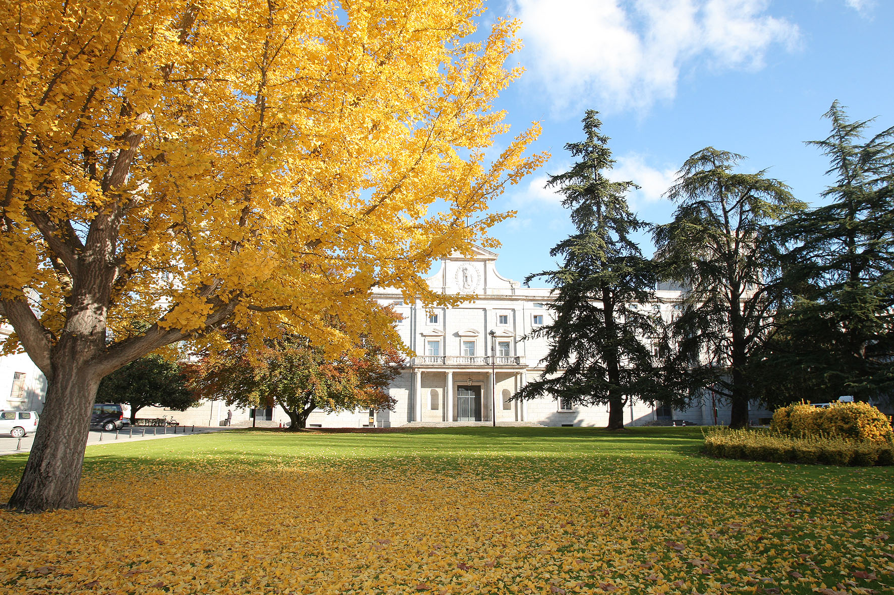 University of Navarra The World 100