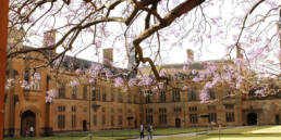 The University of Sydney