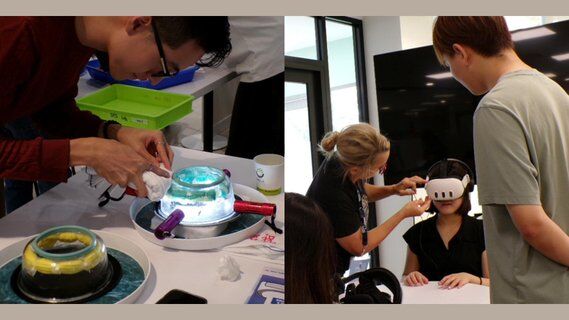 Image for twitter card