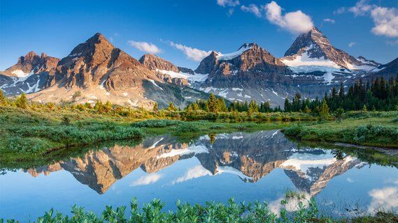 Image for twitter card