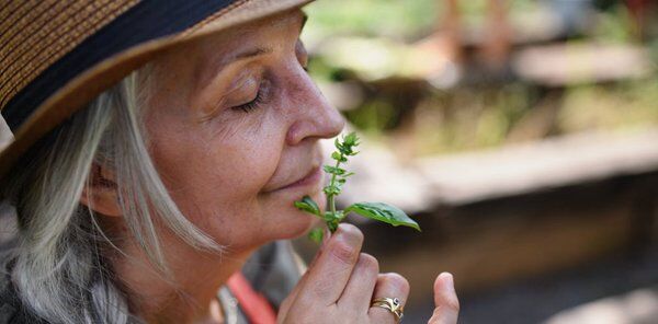 Image for twitter card